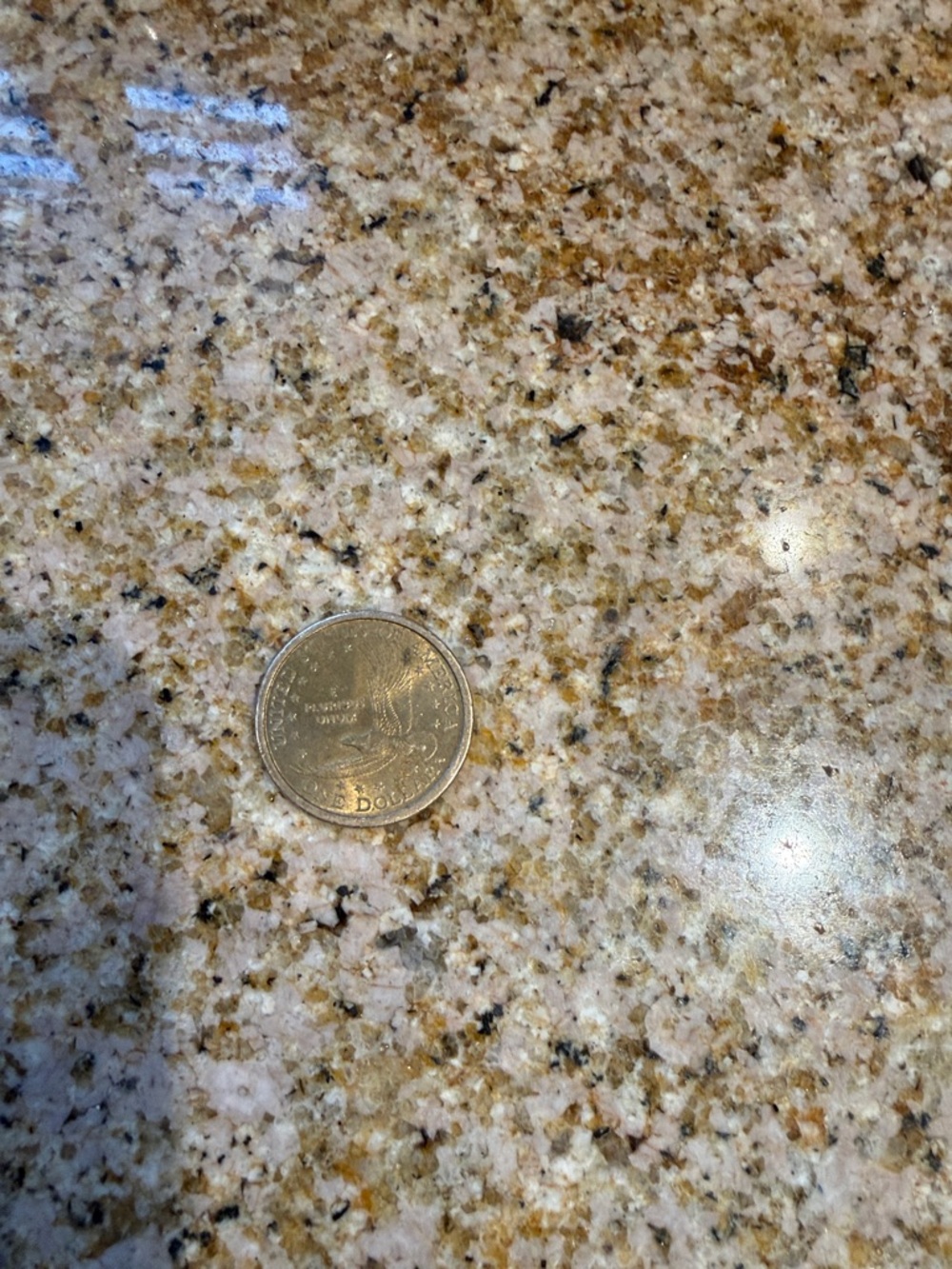 Gold-Colored Collectible Coin - Unbranded